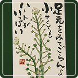 作品紹介22