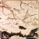 作品紹介33
