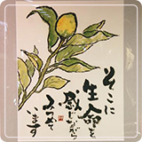 作品紹介41